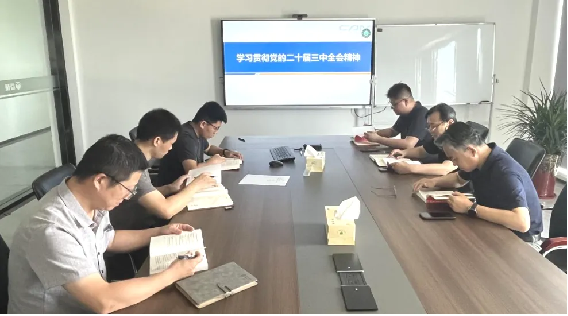 图片 8