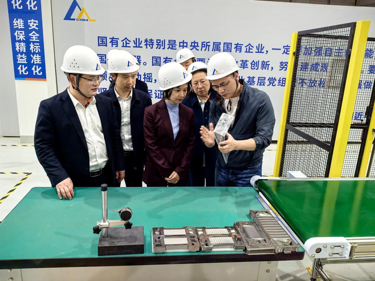 东西湖区委常委、宣传部长龙眉到公司考察调研