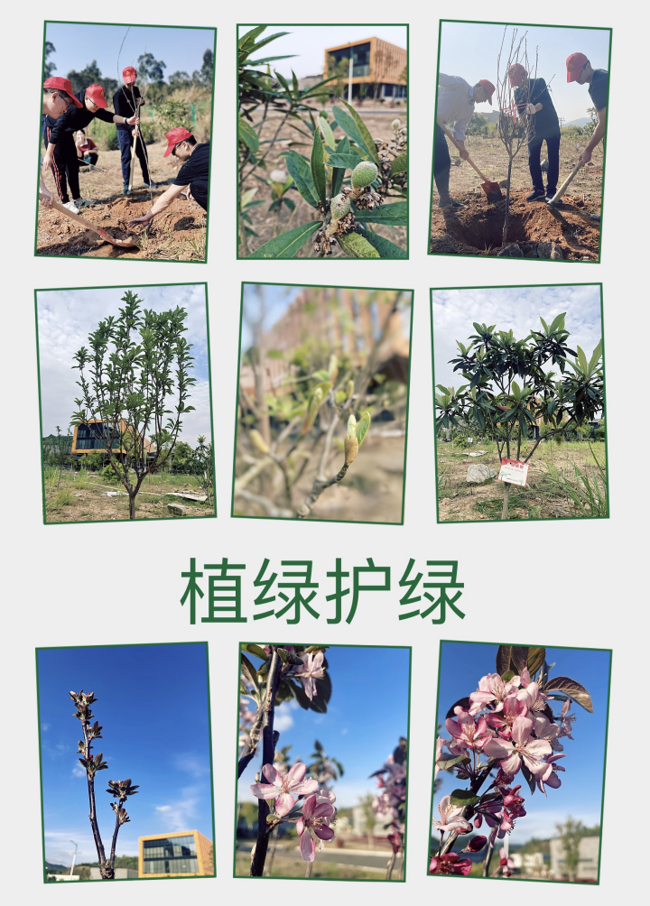图片 5