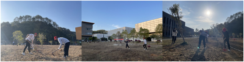WPS拼图0(1).png