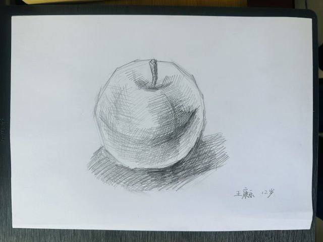 山西院 质检站 王磊 王康乐 12岁《素描苹果》.jpg